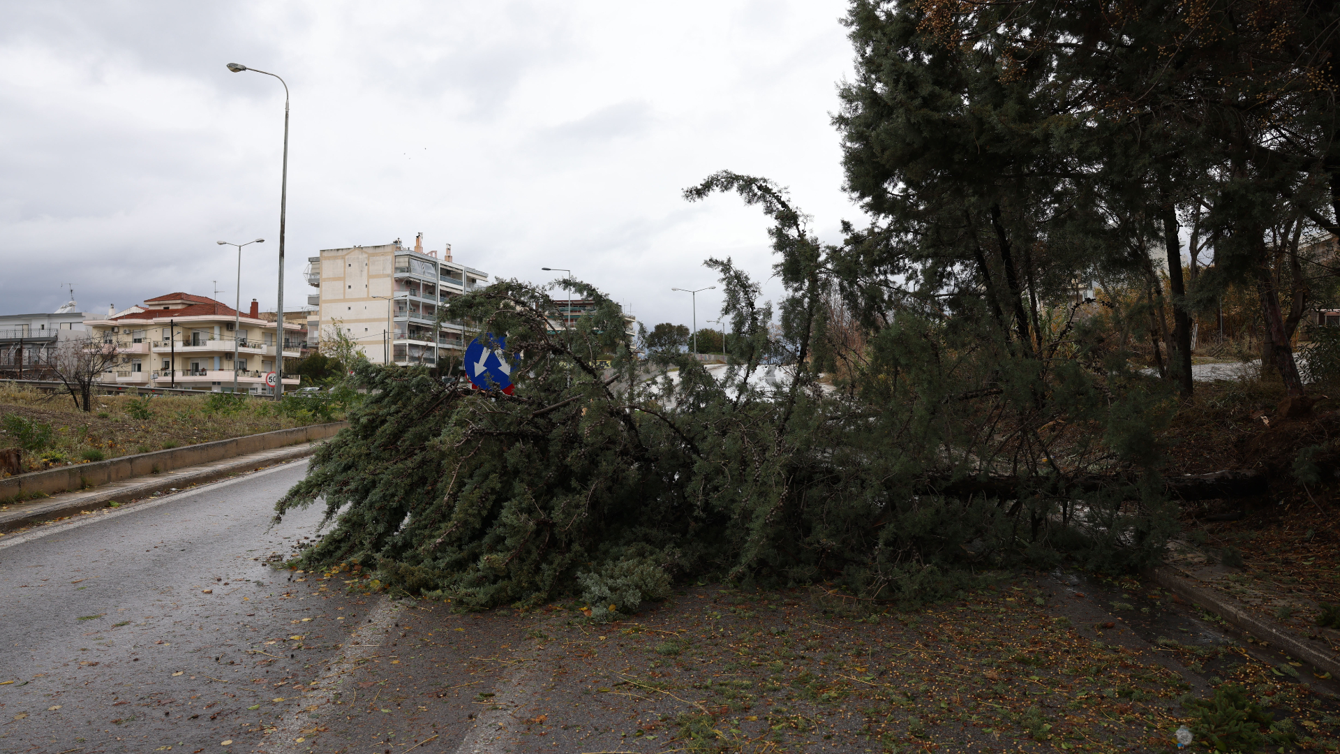 Θυελλώδεις άνεμοι 7-8 μποφόρ και πτώσεις δέντρων στη Θεσσαλονίκη (VIDEO)