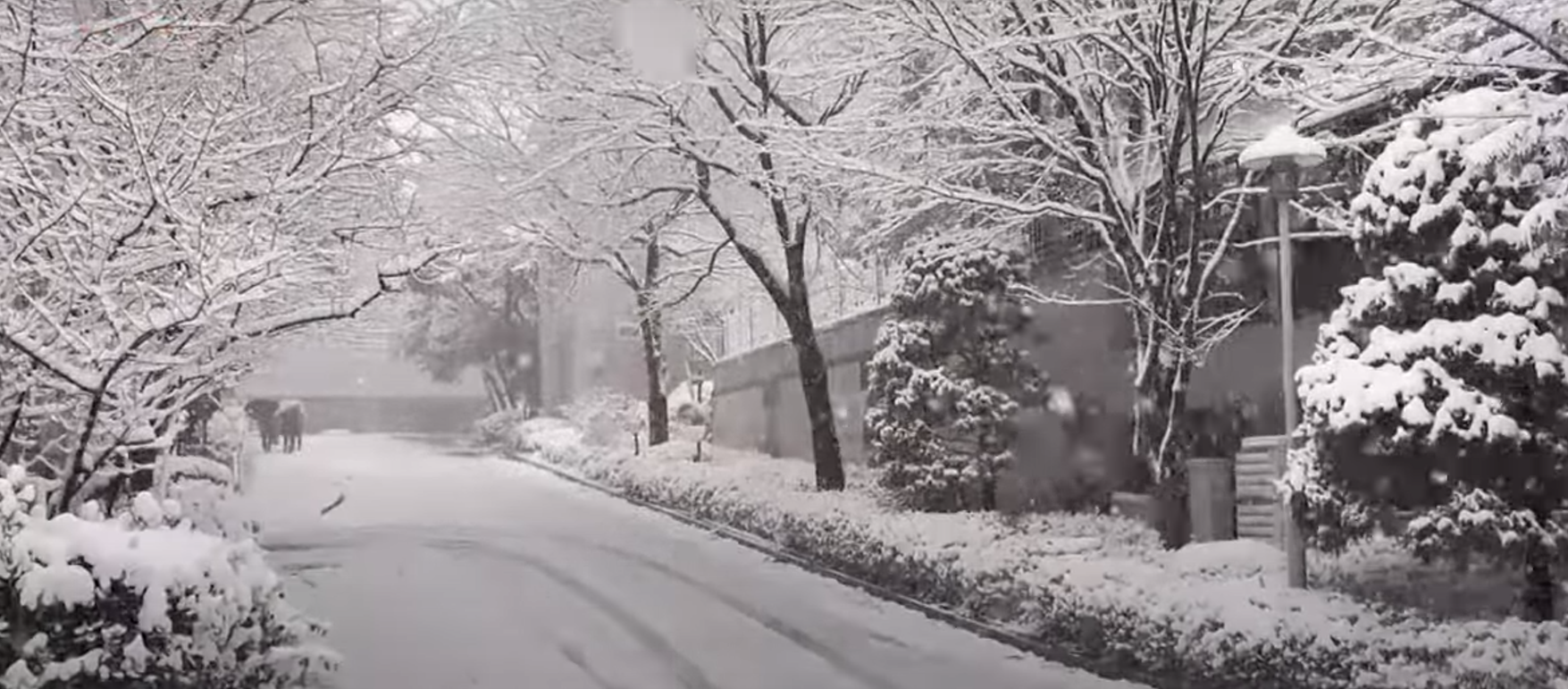 Καιρός: Κρύο αλλά με λίγα χιόνια την Πρωτοχρονιά